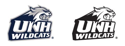 UNH Wildcats Secondary Athletic Marks