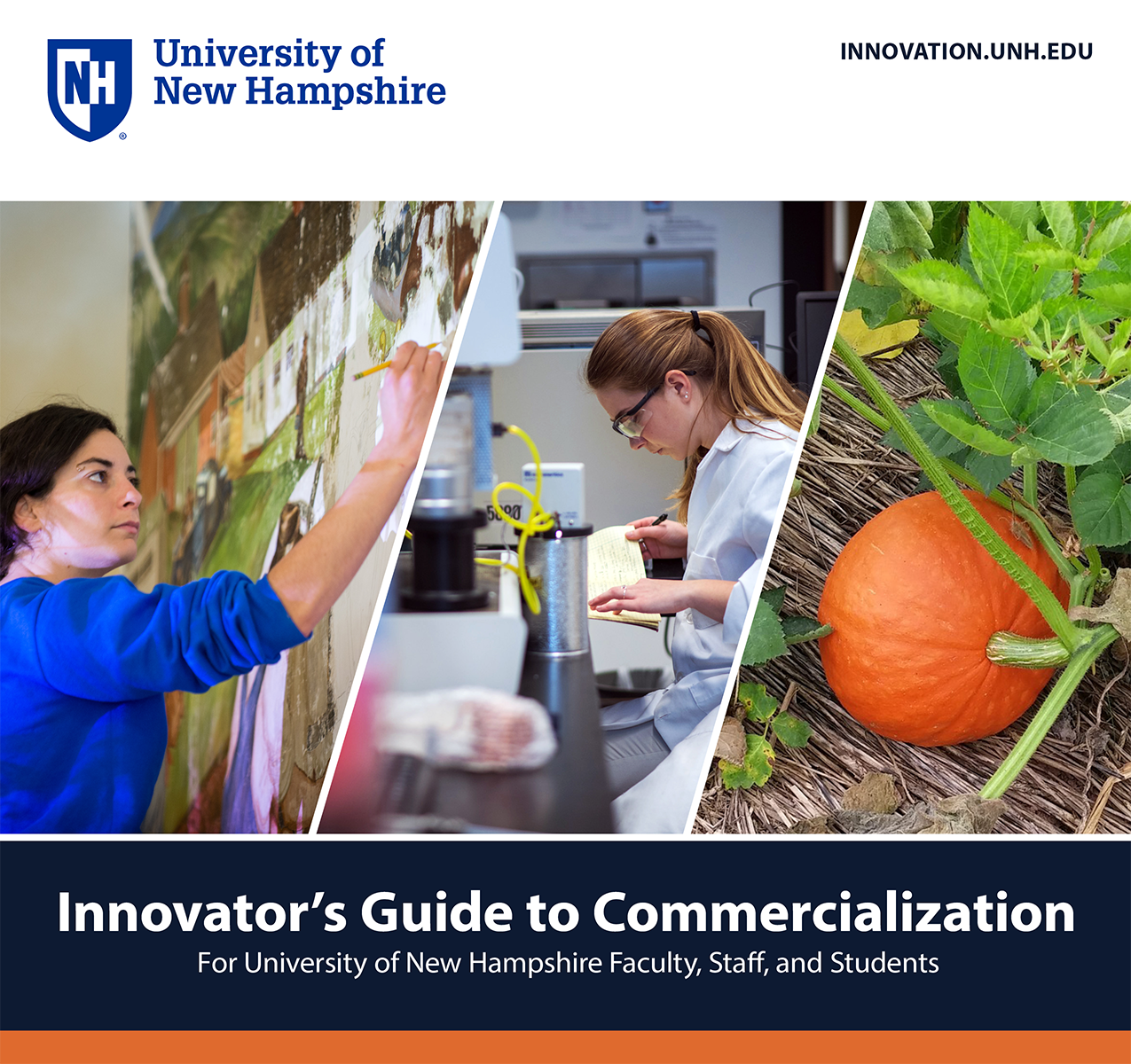 Innovator's guide to commercialization