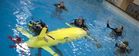 UUV Image