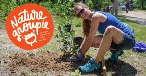 Nature Groupie logo and person planting shrubs outdoors